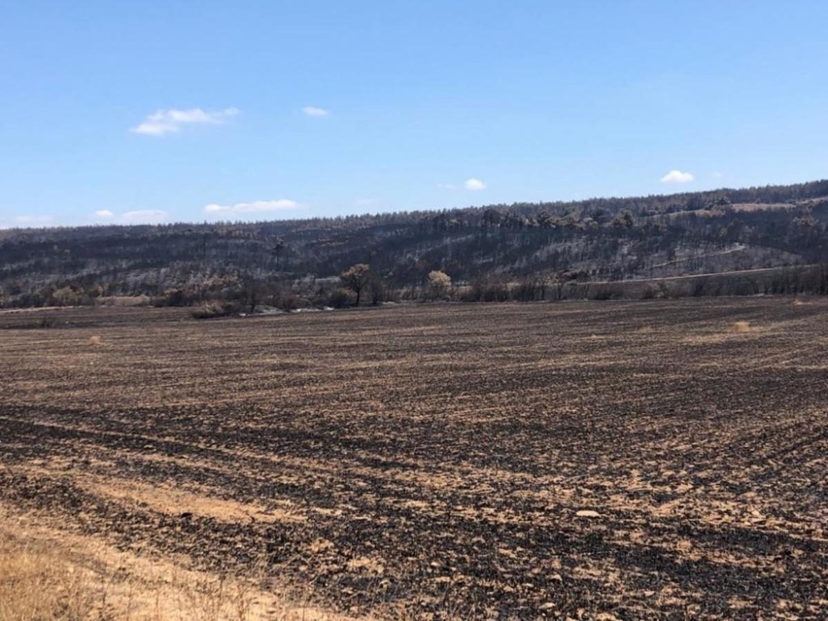 Başkan Akg&uuml;n Gelibolu&rsquo;da yangın b&ouml;lgesinde incelemelerde bulundu