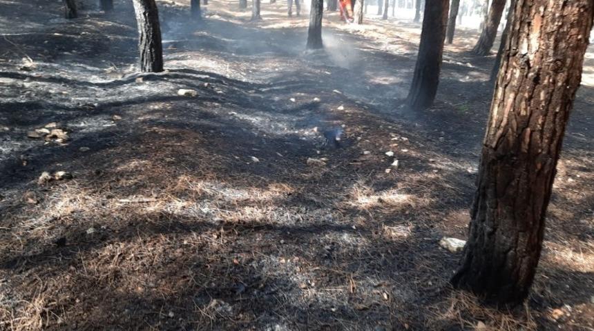 Kahramanmaraş&rsquo;ta orman yangını