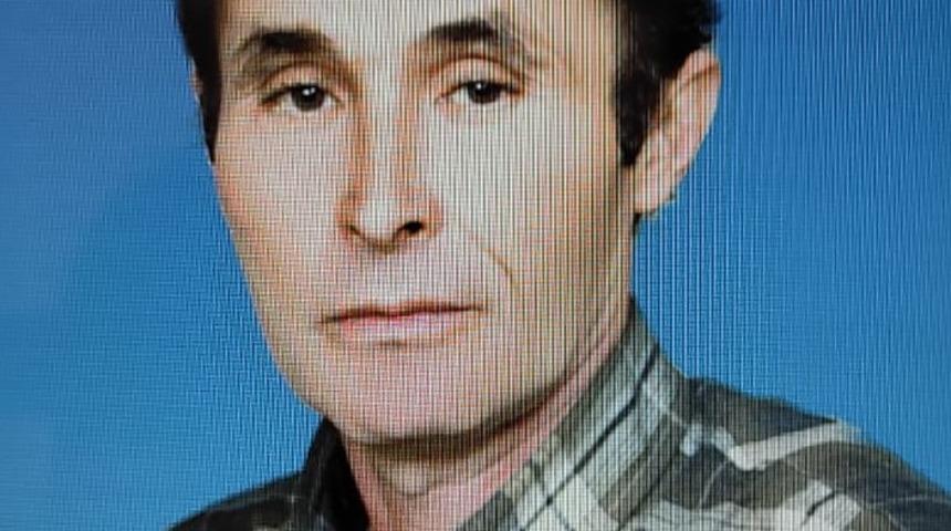 Kaz Dağları'nda kestiği ağacın altında can verdi