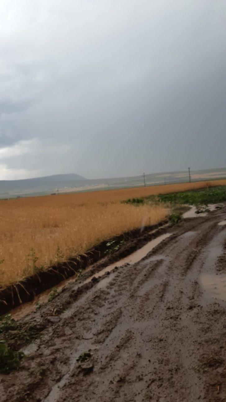 Ahlat’ta sel suları ekili alanlara ve sulama kanallarına zarar verdi G2