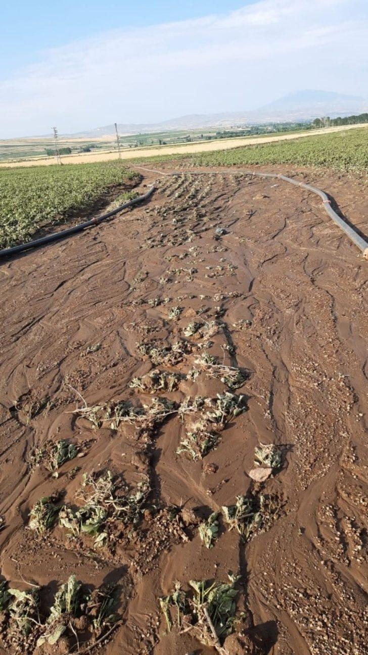 Ahlat’ta sel suları ekili alanlara ve sulama kanallarına zarar verdi G4