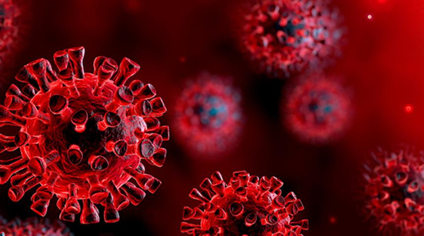 Dünya Sağlık Örgütü'nden peş peşe korkutan koronavirüs açıklamaları