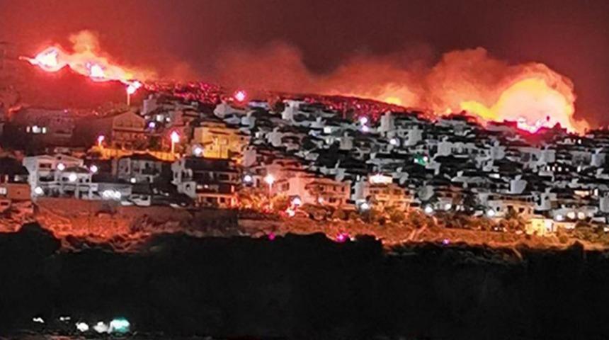 İzmir'de makilik alanda yangın!