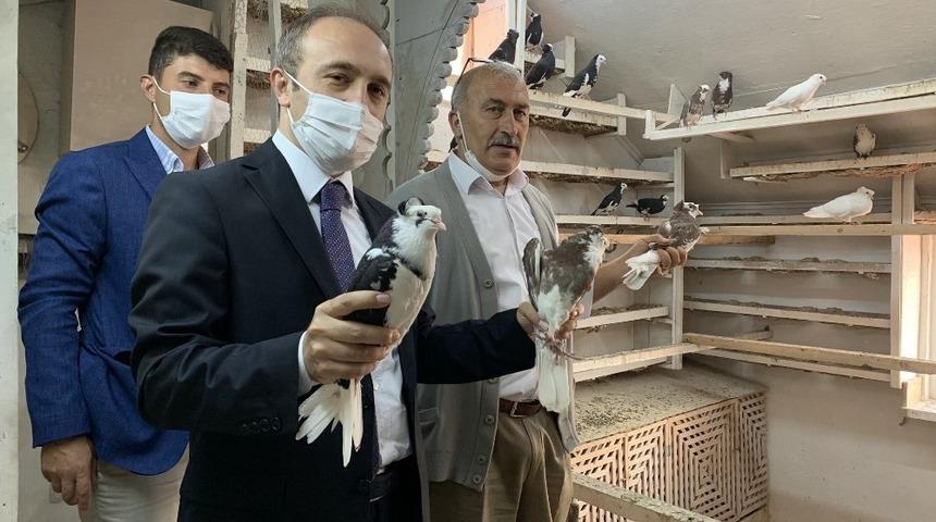 Bayburt g&uuml;vercininin tanıtım &ccedil;alışmaları başlıyor