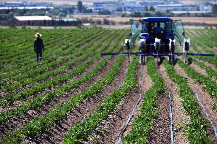 Büyükşehir’e ait tarım arazilerinde hasat için geri sayım G2