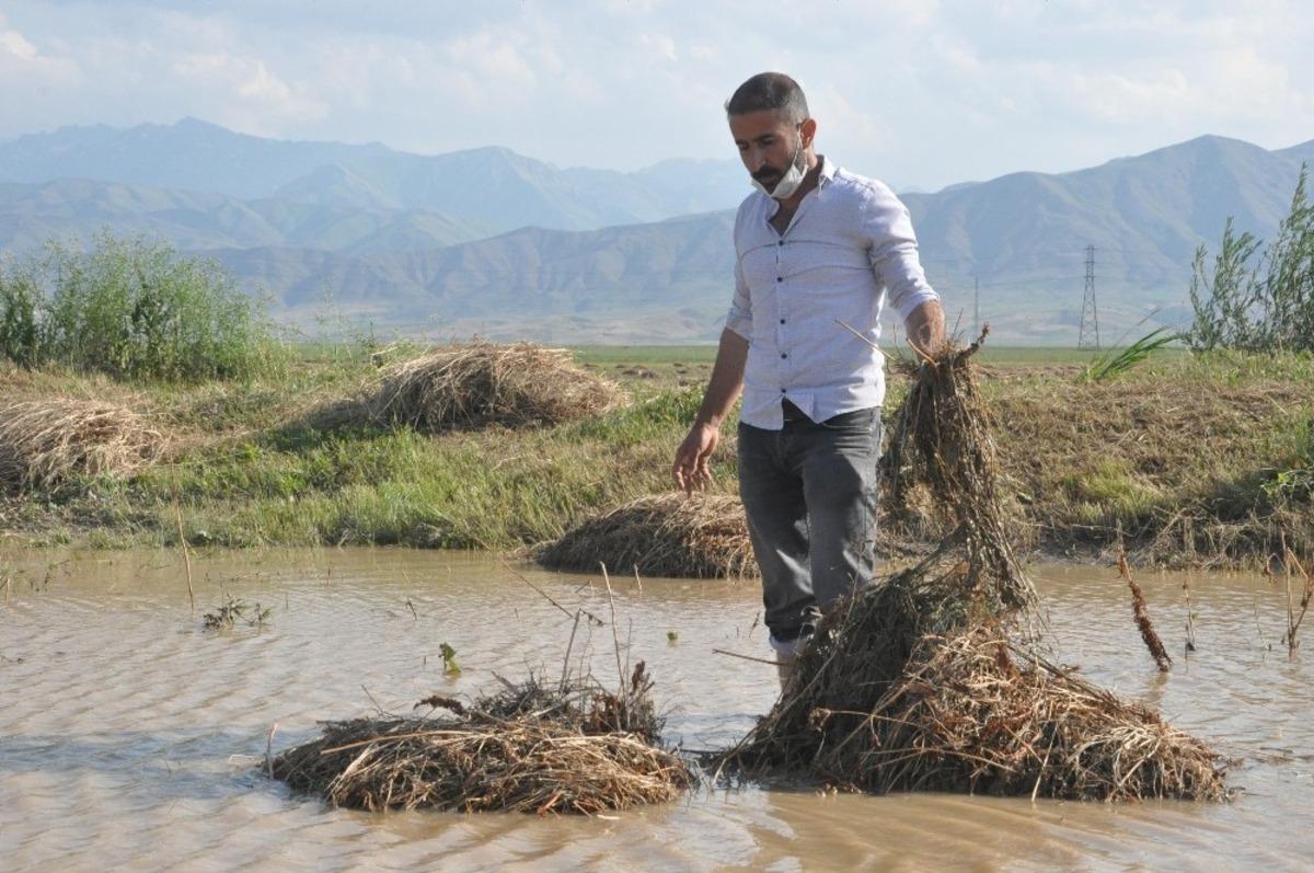 Yaşanan selden dolayı 3 bin bağ ot zarar g&ouml;rd&uuml;