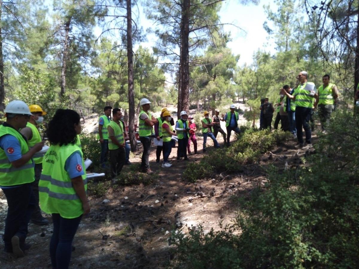 Mersin Orman B&ouml;lge M&uuml;d&uuml;rl&uuml;ğ&uuml;nden Mut&rsquo;ta &uuml;retim tatbikatı