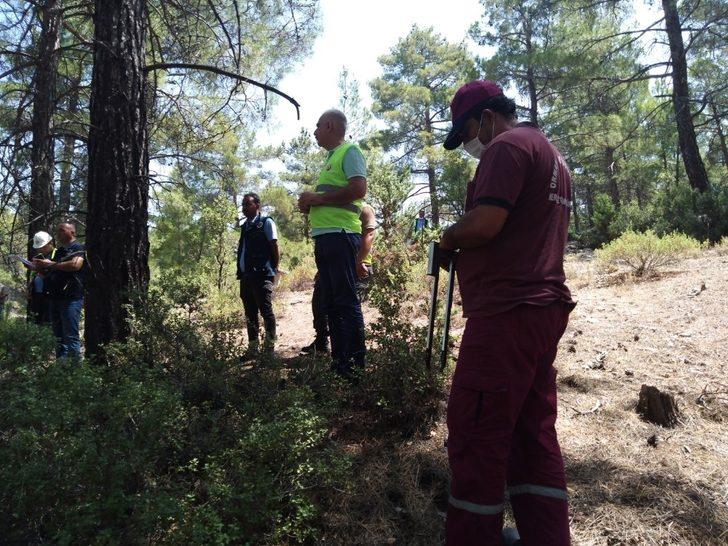 Mersin Orman Bölge Müdürlüğünden Mut’ta üretim tatbikatı G2