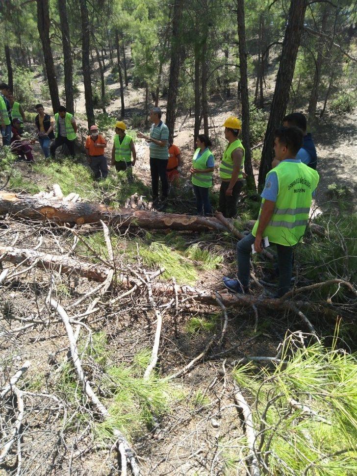 Mersin Orman Bölge Müdürlüğünden Mut’ta üretim tatbikatı G4