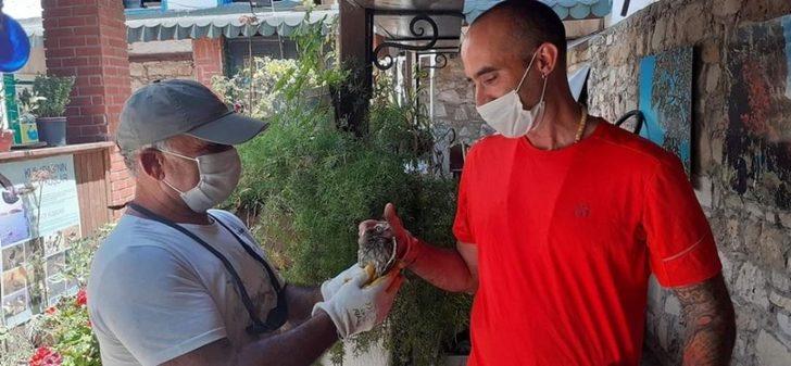 İspanyol gezgin, nesli tehlike altında olan hayvanlar için 8 yıldır pedal basıyor G3