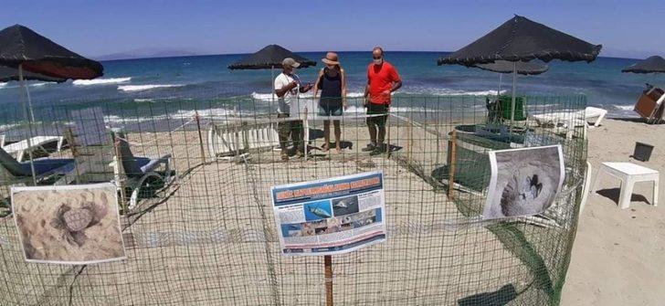 İspanyol gezgin, nesli tehlike altında olan hayvanlar için 8 yıldır pedal basıyor G4