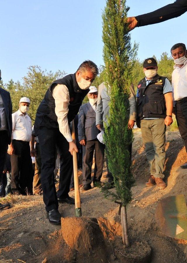 15 Temmuz Demokrasi Şehitleri Hatıra Ormanı’na 200 fidan dikildi