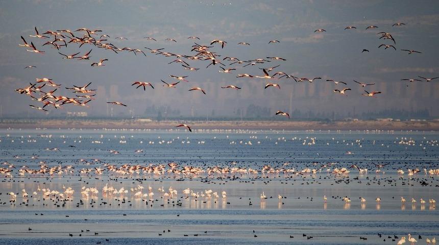 Akyatan Lag&uuml;n&uuml; kiraya veriliyor
