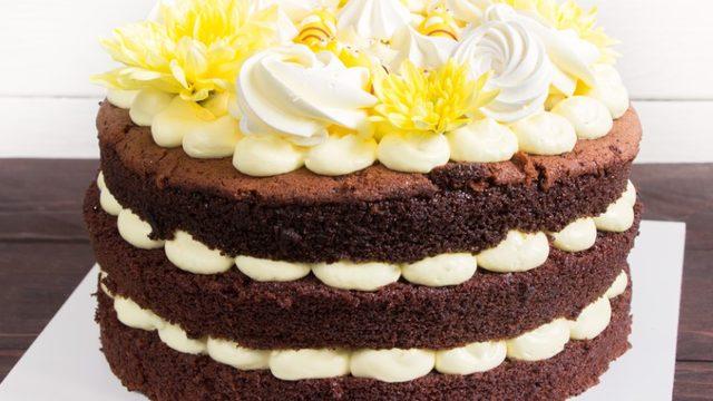 Pandispanya pasta tarifi: Var mı ev yapımı pasta gibisi!