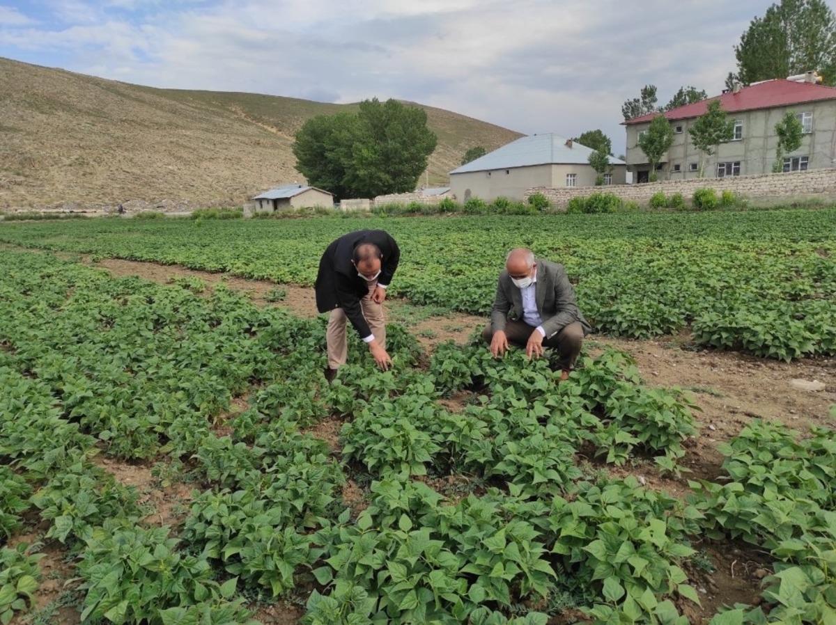 &Ccedil;aldıran&rsquo;da bitkisel &uuml;r&uuml;n &ccedil;eşitliliğinin arttırılmasına y&ouml;nelik proje &ccedil;alışması