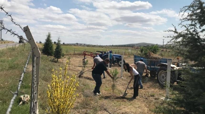 ESOG&Uuml; Mahmudiye At&ccedil;ılık Meslek Y&uuml;ksekokulu&rsquo;nda fidan dikimi