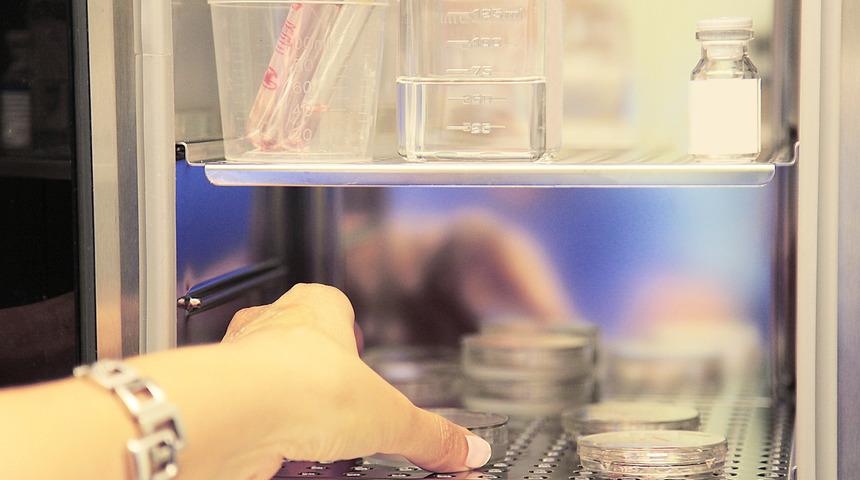 'Yumurta dondurma' işlemi ile ilgili merak edilen 4 soru