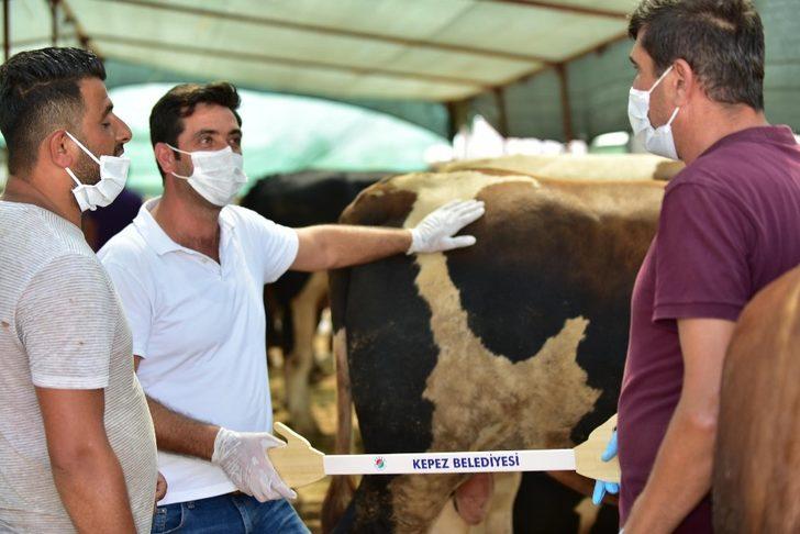 Kepez’den kurban pazarlarına özel ‘Pazarlık Kiti’ G4