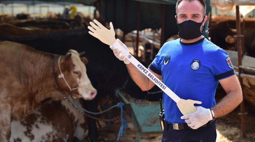 Antalya'da  kurban pazarlarında "pazarlık kiti" ile tokalaşma dönemi