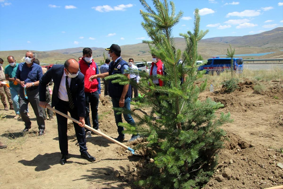 Şarkışla'da 15 Temmuz Hatıra Ormanına 100 fidan dikildi