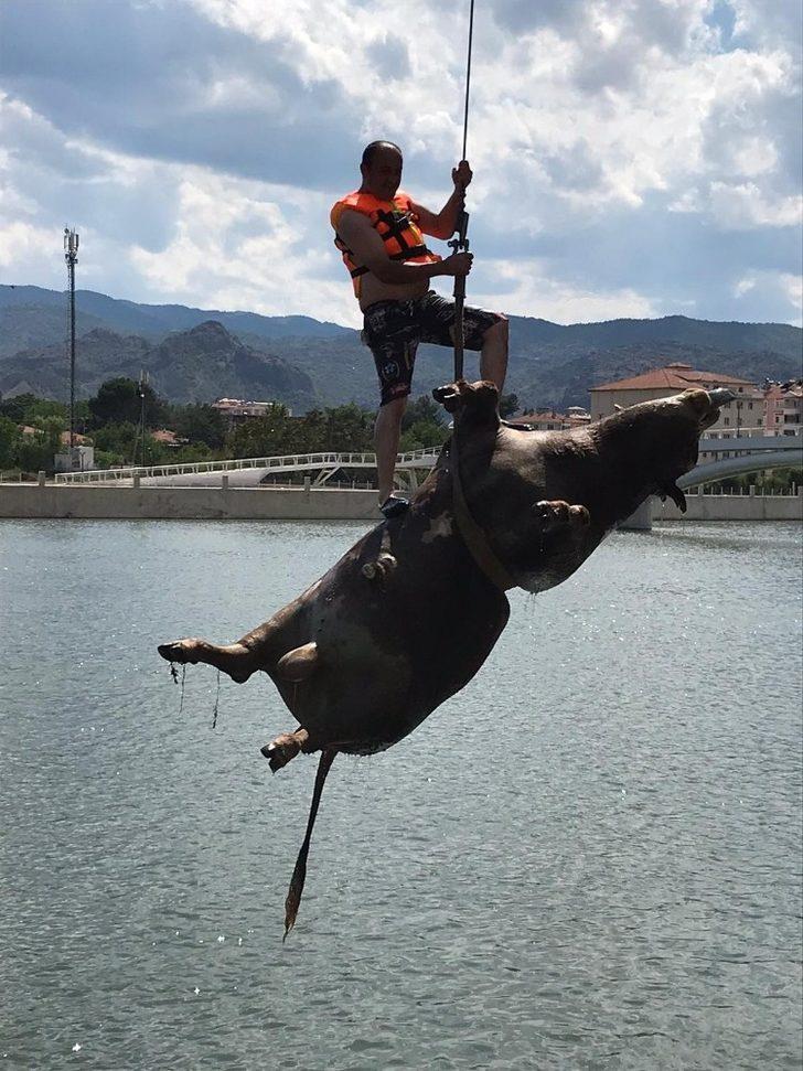 Kızılırmak’taki hayvan leşini vinçle kaldırıldı G2