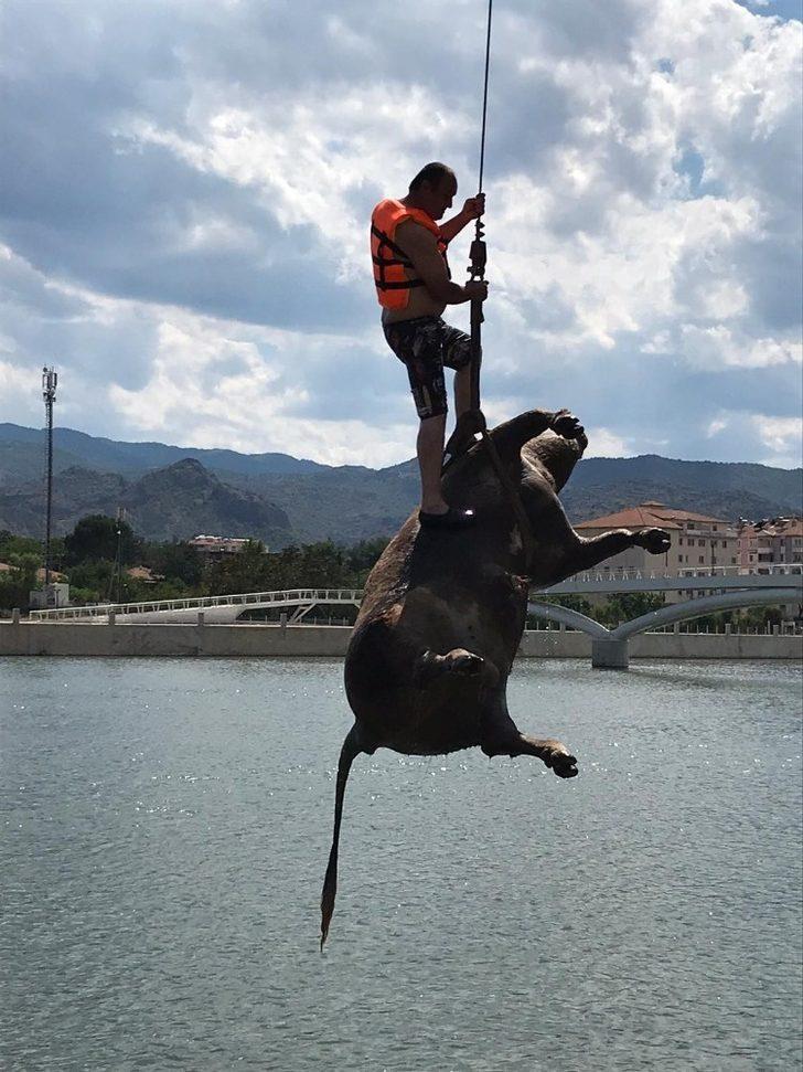 Kızılırmak’taki hayvan leşini vinçle kaldırıldı G3