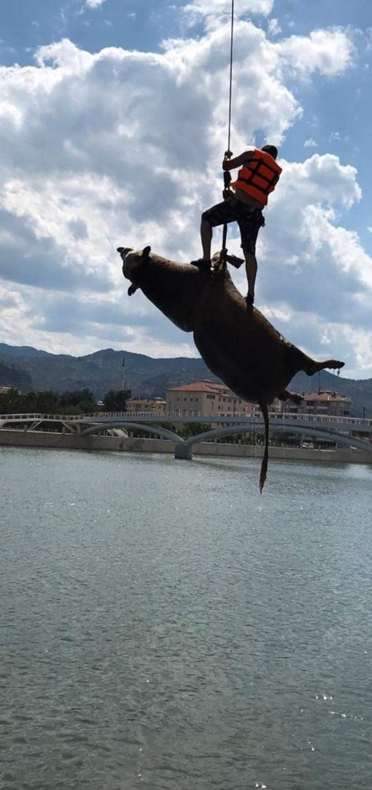 Kızılırmak’taki hayvan leşini vinçle kaldırıldı G4