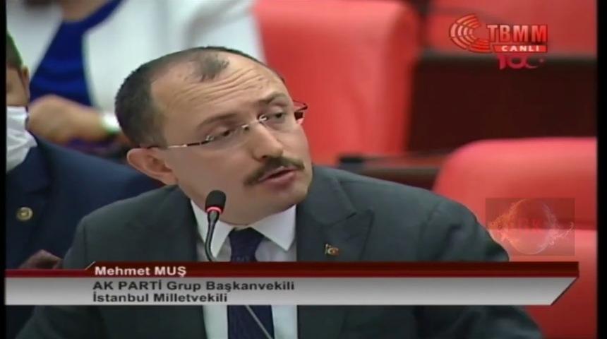 Meclis Başkanveli, AK Parti Grup Başkanvekili Mehmet Muş'u uyardı: Sehven 'Sayın Fethullah Gülen' dediniz, özür dileyiniz