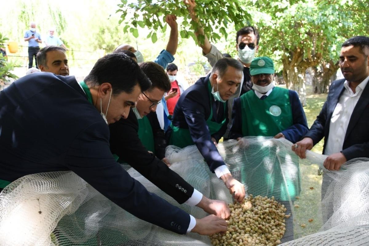 Vali Mahmut &Ccedil;uhadar&rsquo;dan Tut il&ccedil;esine ziyaret