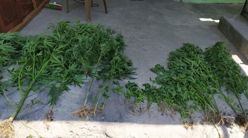 Dörtyol’da uyuşturucu operasyonu