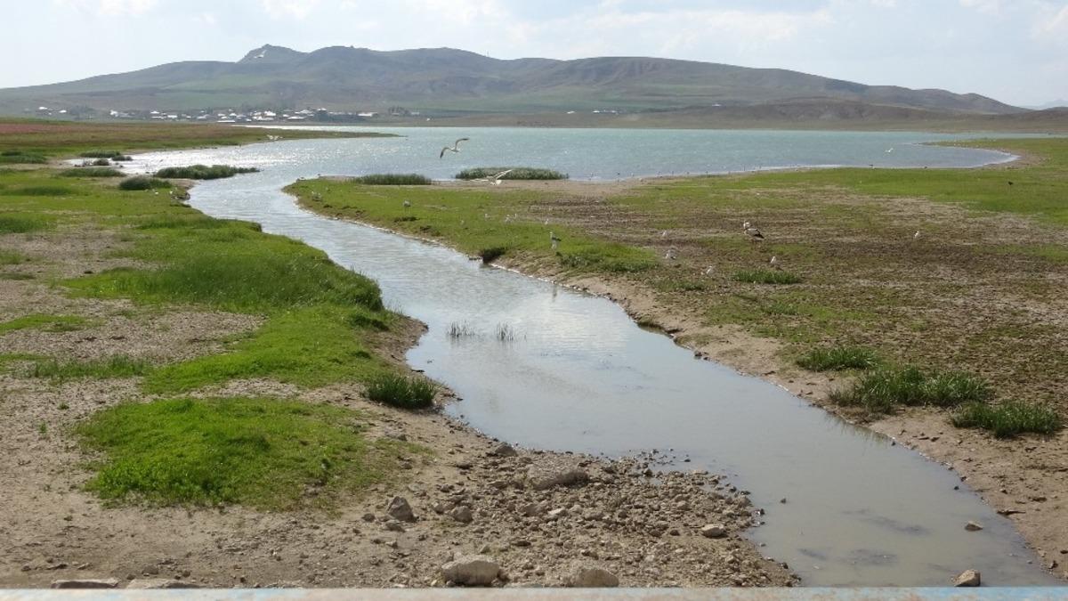 Değirmi G&ouml;leti&rsquo;nde leylek yoğunluğu