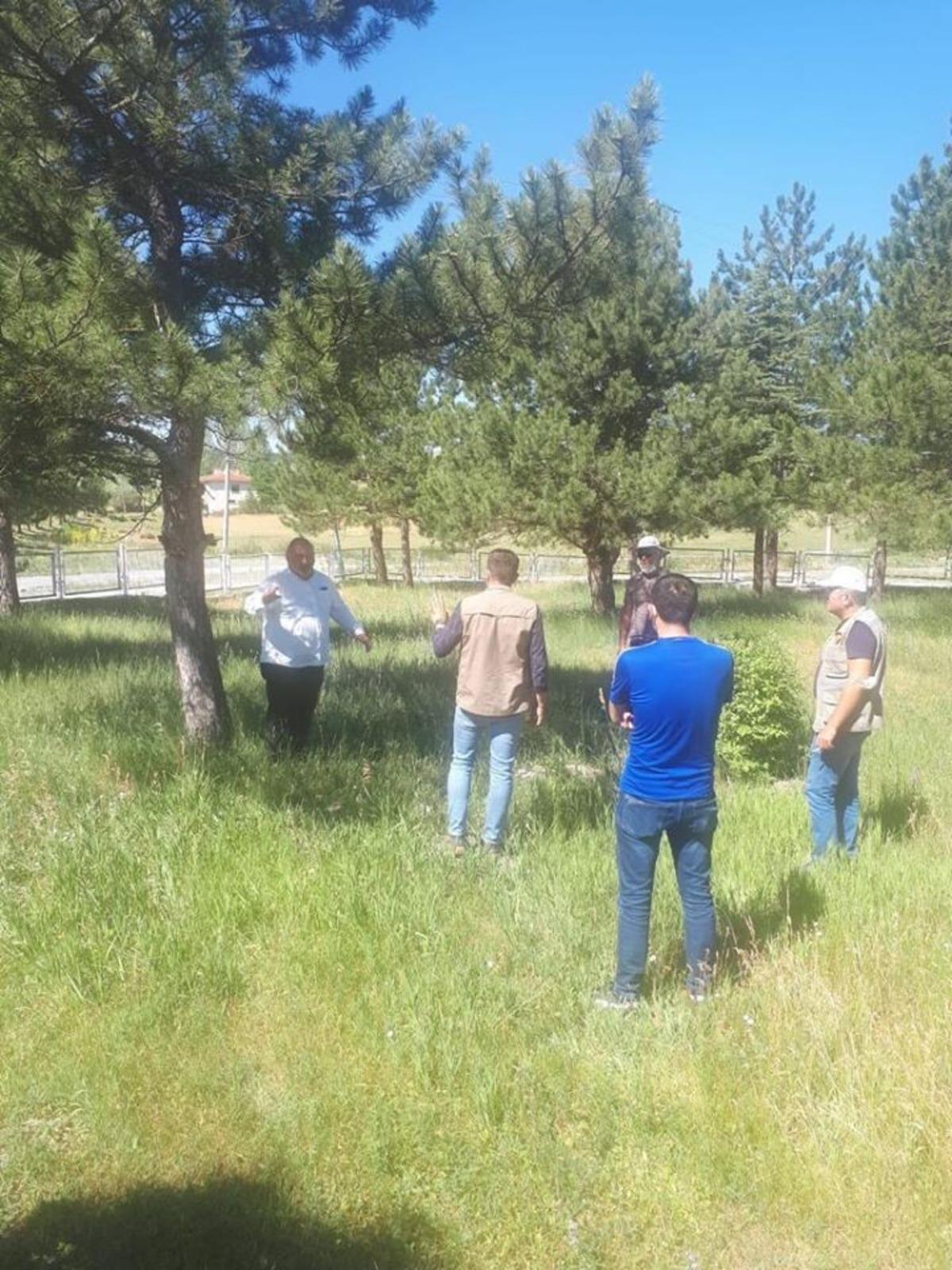 Kurtuluş Savaşı şehitlerinin mezarları tespit ediliyor