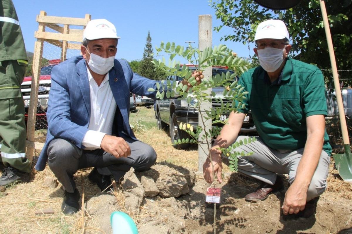 15 Temmuz şehitlerinin ismi Ko&ccedil;arlı&rsquo;da yaşatılıyor