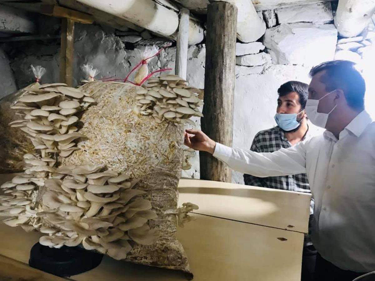 Kaymakam Solmaz mantar &uuml;reticileriyle buluştu