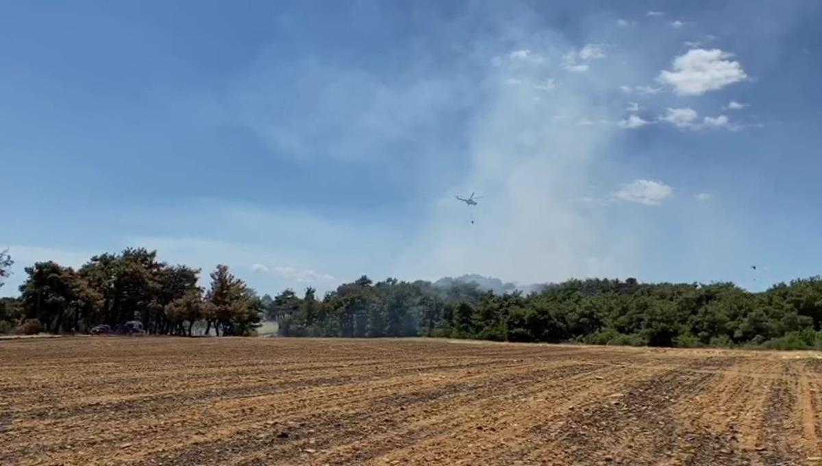 Saros K&ouml;rfezinde orman yangını