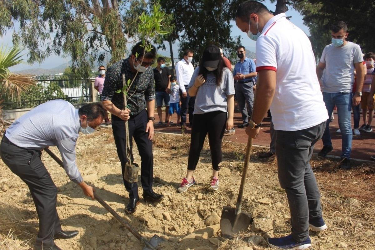 Bozyazı&rsquo;da 15 Temmuz şehitleri anısına fidan dikildi