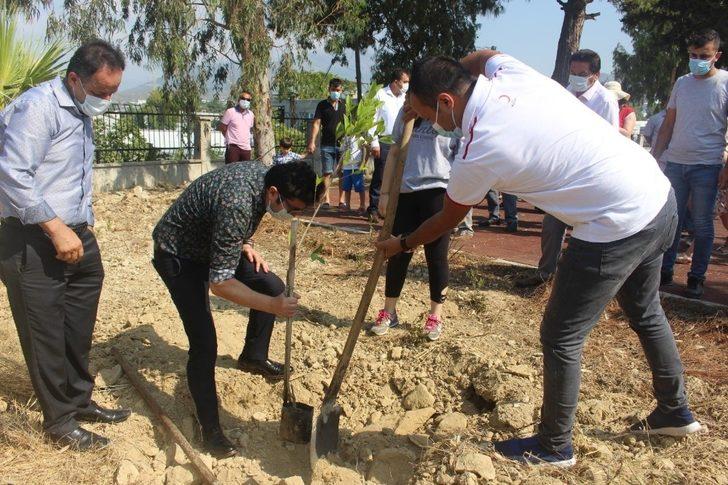 Bozyazı’da 15 Temmuz şehitleri anısına fidan dikildi G3