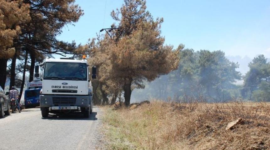 Son dakika Gelibolu'da orman yangını!
