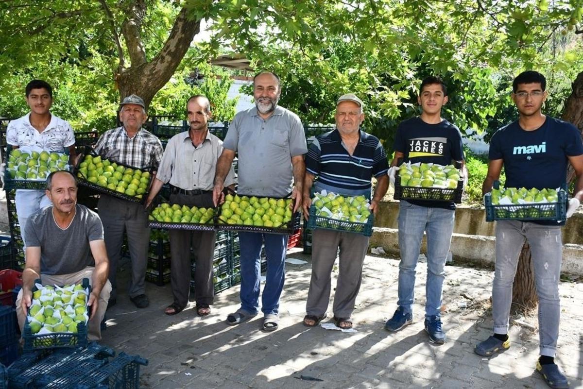 Yediveren incirinin &rsquo;Turgutlu inciri&rsquo; olarak tescillenmesini istiyorlar