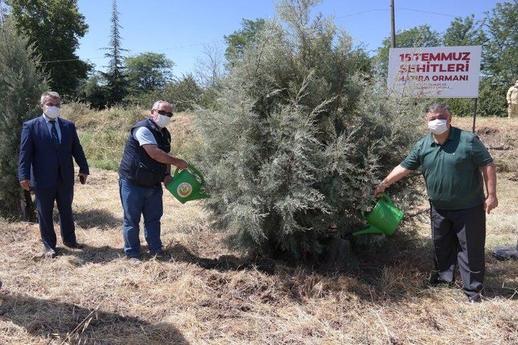 Edirne’de 15 Temmuz Şehitleri Hatıra Ormanı’na dikilen fidanların bakımı yapıldı G2
