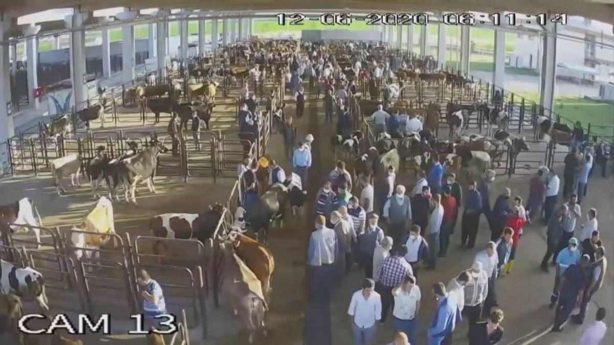 Silahlı saldırıya uğrayan oda başkanı evinde koruma kararına tepkili