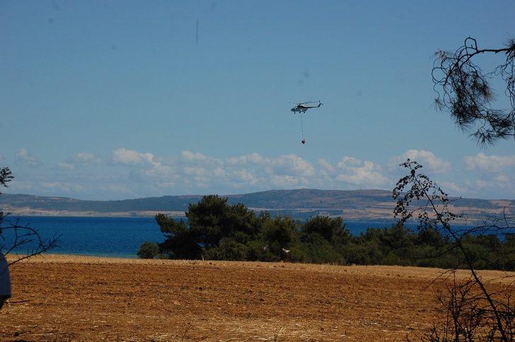 Saros’da ormanlık alandaki yangın kontrol altına alındı G3