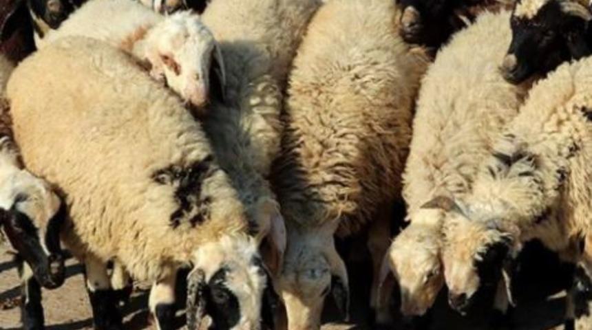 2M 2E kuralı nedir? Bilim Kurulu üyesinin önerdiği K2M. 2E. kuralının amacı nedir?