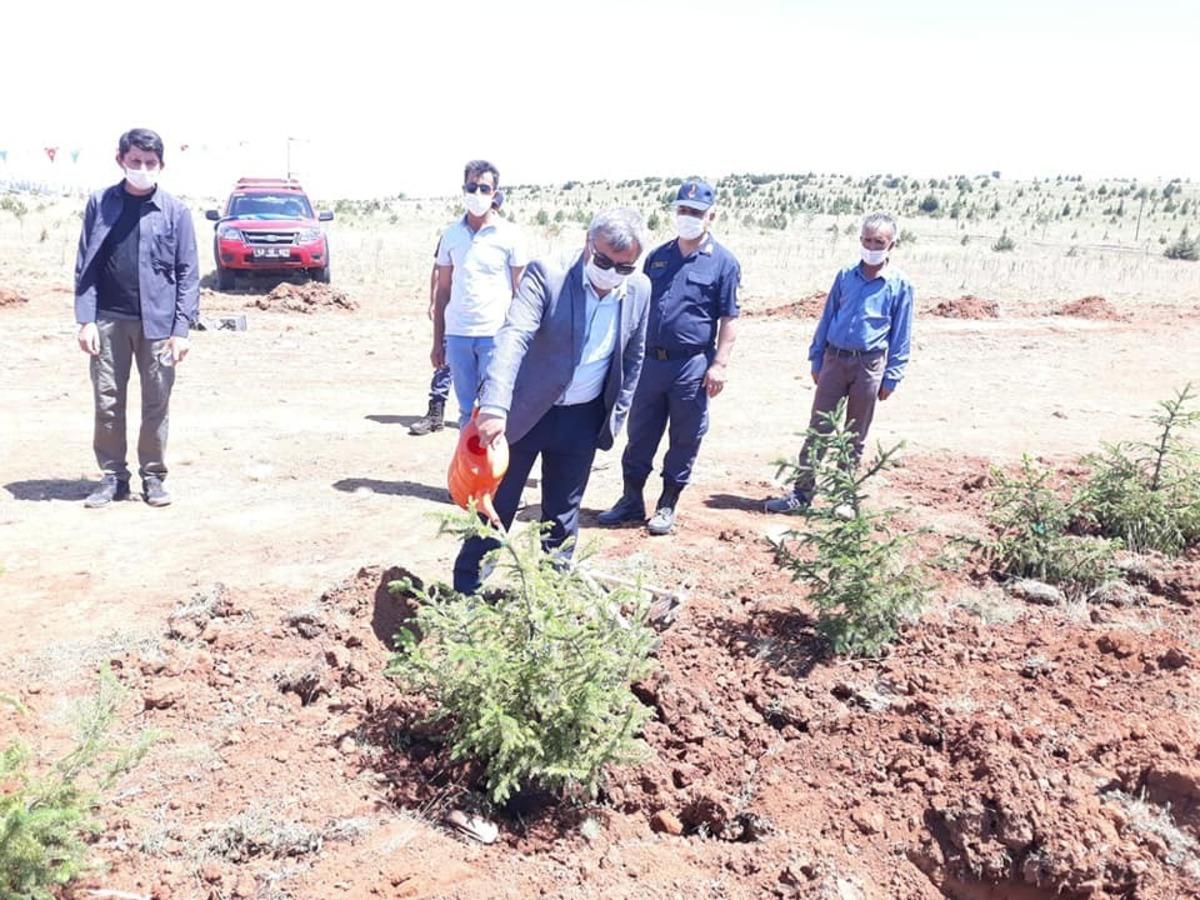 Altıntaş&rsquo;ta 251 şehit i&ccedil;in 251 fidan dikildi