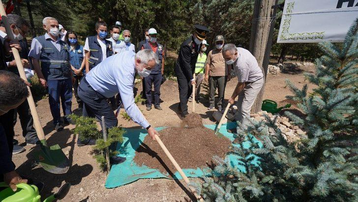 Isparta’da protokol 15 Temmuz Ormanı’na fidan dikti G1