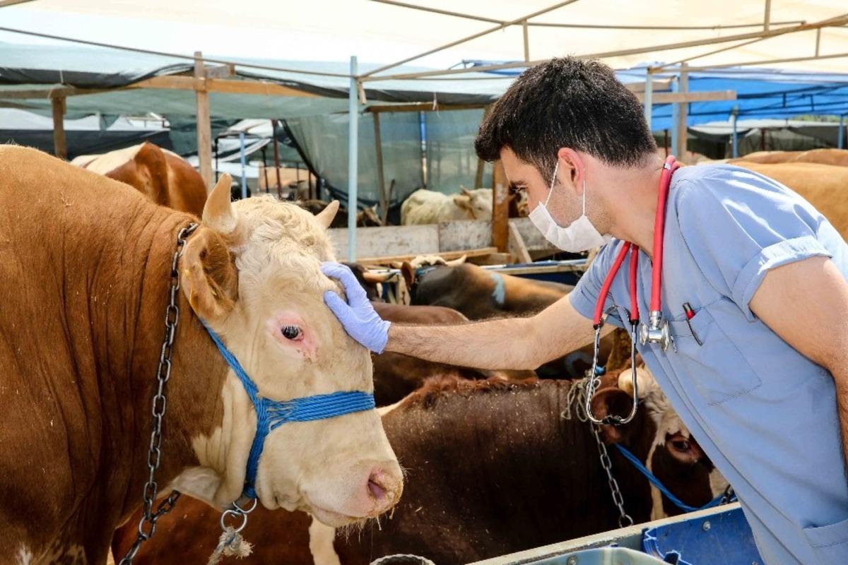 Buca&rsquo;nın kurban pazarları denetlendi