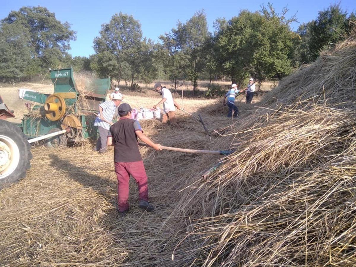 Efsane patoz makinaları hala kullanılıyor