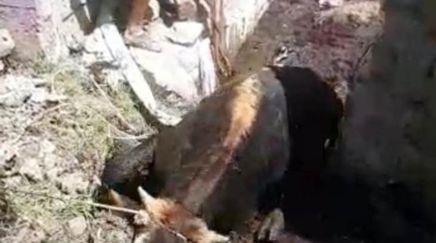 D&uuml;şt&uuml;ğ&uuml; bataklıktan itfaiye kurtardı