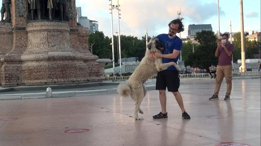&Ouml;nce sevdi, sonra ka&ccedil;tı! Taksim&rsquo;de vatandaşın k&ouml;pekle imtihanı