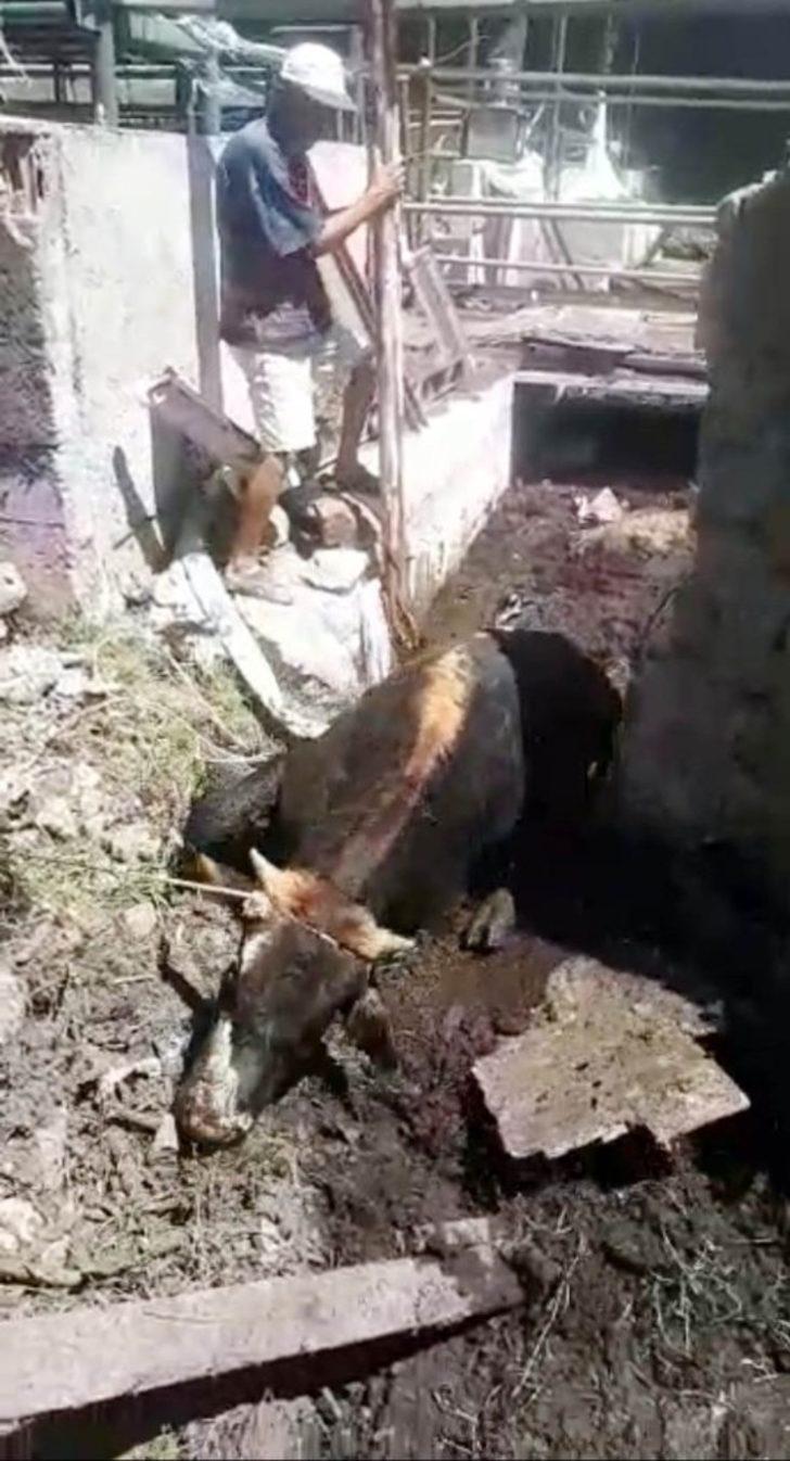 Bodrum’da itfaiye ekipleri 12 saatte 12 olaya müdahale etti G5